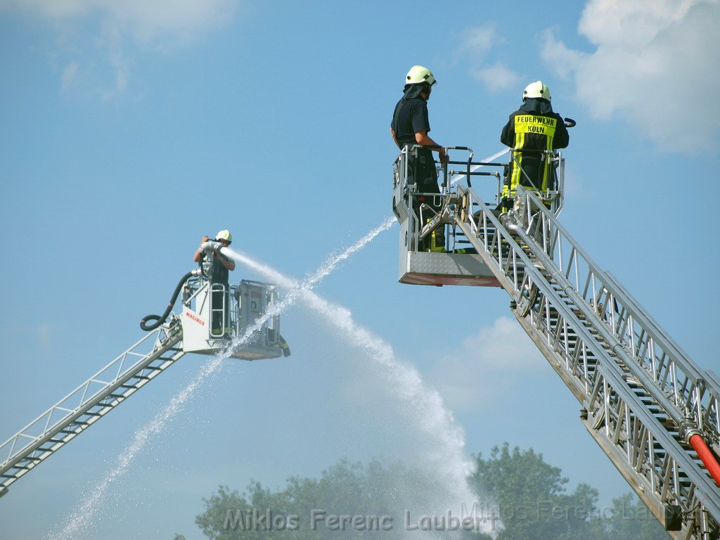 Feuer Koeln Ossendorf Butzweiler Hof neben IKEA P213.JPG